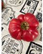 Tomato 'Russian Rose' Seeds (Certified Organic)