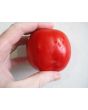 Tomato 'Mary's Square Paste' AKA 'Grandma Mary's Paste' 