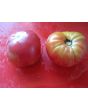 Tomato 'Seek-No-Further Love Apple'