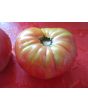 Tomato 'Seek-No-Further Love Apple'