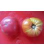 Tomato 'Seek-No-Further Love Apple'
