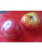 Tomato 'Seek-No-Further Love Apple'