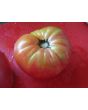 Tomato 'Seek-No-Further Love Apple'