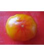 Tomato 'Big Rainbow' Seeds (Certified Organic)