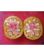 Tomato 'Big Rainbow' Seeds (Certified Organic)