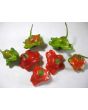 Hot Pepper ‘Balloon’ AKA ‘Bishop’s Crown’