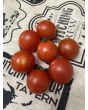 Tomato 'Be My Baby' Seeds (Certified Organic)