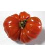 Tomato 'Costoluto Genovese'