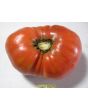 Tomato 'Caspian Pink'