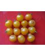 Tomato 'Gajo de Melon'