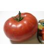 Tomato 'Brandywine'