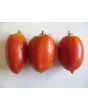 Tomato 'Speckled Roman' 