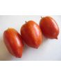Tomato 'Speckled Roman' 