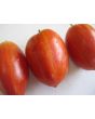Tomato 'Speckled Roman' 