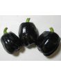 Bell Pepper 'Purple Beauty'