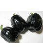 Bell Pepper 'Purple Beauty'