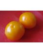 Tomato 'Tangerine'