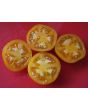 Tomato 'Tangerine'
