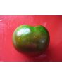 Tomato 'Nyagous'