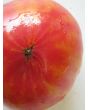 Tomato 'Walter's Candy Stripe' 