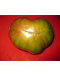 Tomato 'Berkely Tie-Dye'