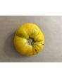 Tomato 'Dagma's Perfection' Seeds (Certified Organic)