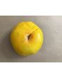 Tomato 'Dagma's Perfection' Seeds (Certified Organic)