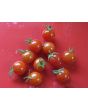 Tomato 'Matt's Wild Cherry'