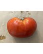 Tomato 'Sunset's Red Horizon' Seeds (Certified Organic)
