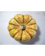 Pumpkin 'Tiger Stripes' Seeds (Certified Organic)