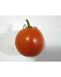 Tomato 'Versalskie' 
