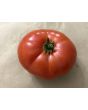 Tomato 'Cosmonaut Volkov' Seeds (Certified Organic)