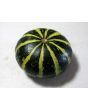 The Ultimate Gourd Seed Mix