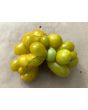 Tomato 'Green Reisetomate'