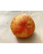 Tomato 'Red Striped Furry Hog' Seeds (Certified Organic)