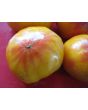 Tomato 'Pineapple'