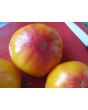 Tomato 'Pineapple'