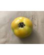 Tomato 'Evan's Supersaver' Seeds (Certified Organic)