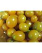 Tomato 'Blondkopfchen' 