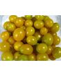 Tomato 'Blondkopfchen' 