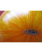 Tomato 'Beauty King' 