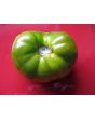 Tomato 'Cherokee Green'