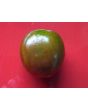Tomato 'Nyagous'