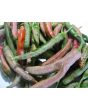 Pepper 'Vesena' Hot Pepper ‘Rezha Macedonian’ 