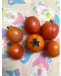 Tomato 'German Lunchbox' Seeds (Certified Organic)