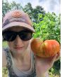 Tomato 'Legs Diamond' 