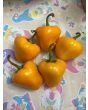Hot Pepper 'Hinkelhatz Chicken Heart Yellow' Seeds (Certified Organic)