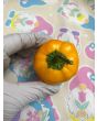 Hot Pepper 'Hinkelhatz Chicken Heart Yellow' Seeds (Certified Organic)