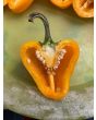 Hot Pepper 'Hinkelhatz Chicken Heart Yellow' Seeds (Certified Organic)