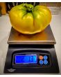 Tomato 'Gold Medal'